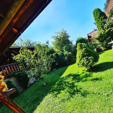 Cabana Vanatorilor Poiana Mărului エクステリア 写真
