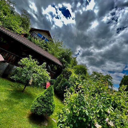 Cabana Vanatorilor Poiana Mărului エクステリア 写真