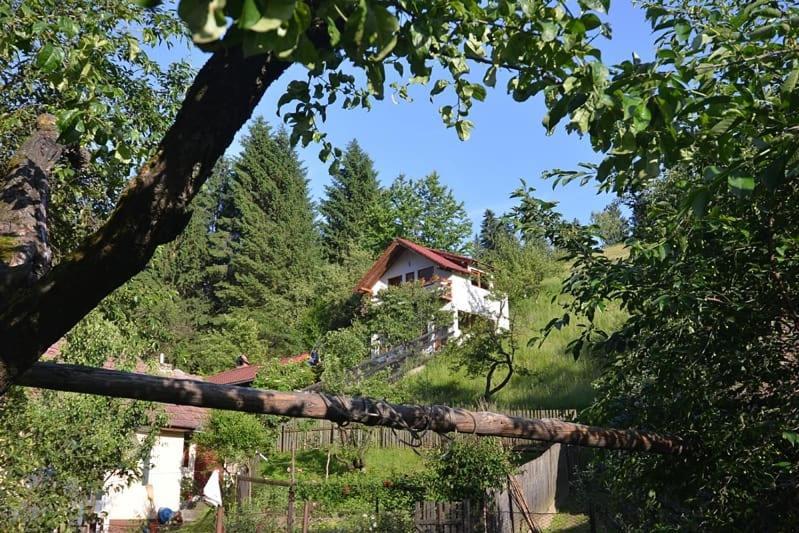 Cabana Vanatorilor Poiana Mărului エクステリア 写真
