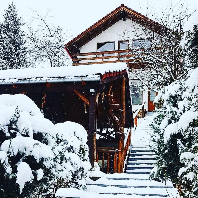 Cabana Vanatorilor Poiana Mărului エクステリア 写真