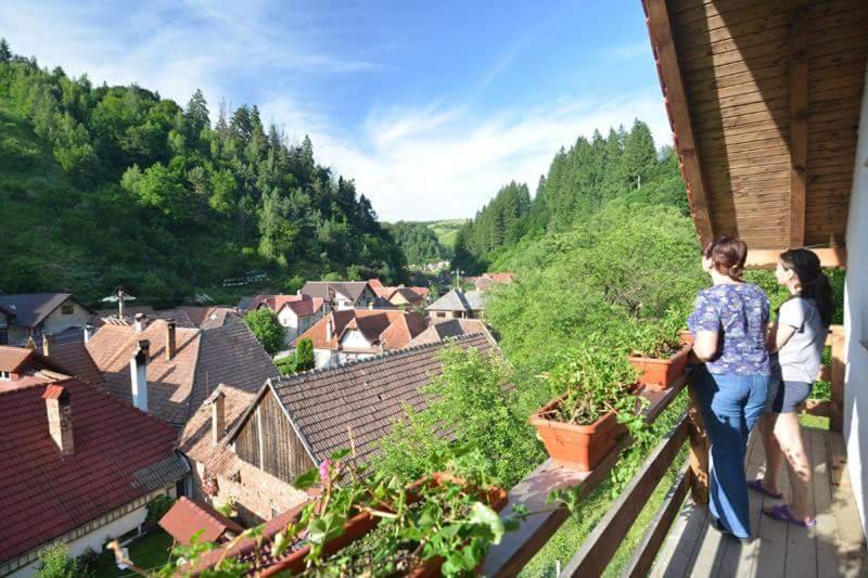 Cabana Vanatorilor Poiana Mărului エクステリア 写真