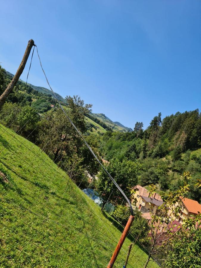 Cabana Vanatorilor Poiana Mărului エクステリア 写真
