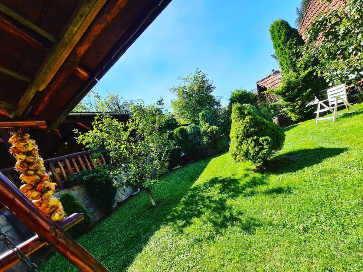 Cabana Vanatorilor Poiana Mărului エクステリア 写真