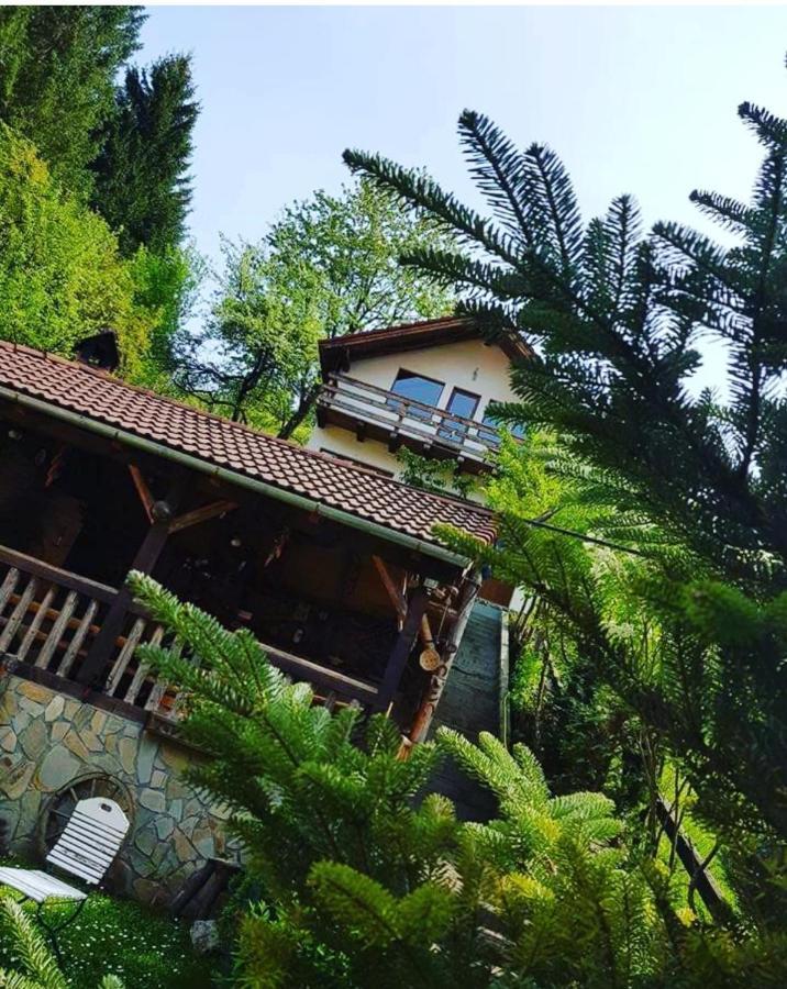 Cabana Vanatorilor Poiana Mărului エクステリア 写真