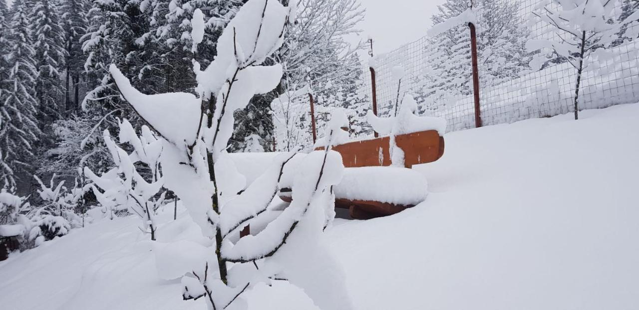Cabana Vanatorilor Poiana Mărului エクステリア 写真