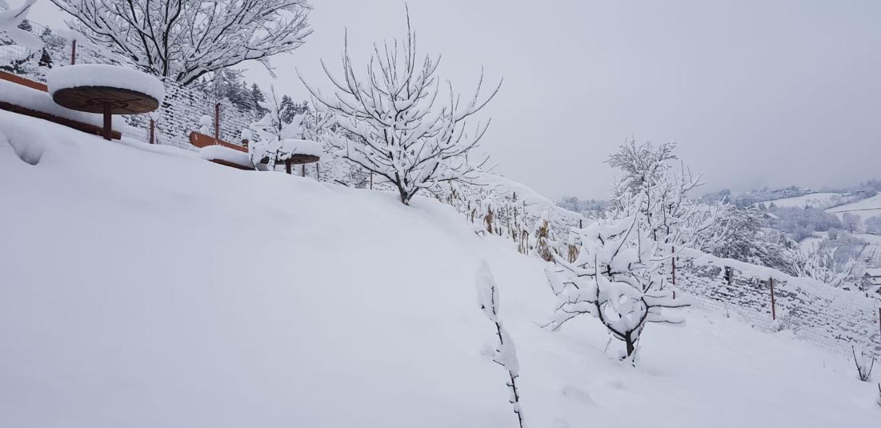 Cabana Vanatorilor Poiana Mărului エクステリア 写真