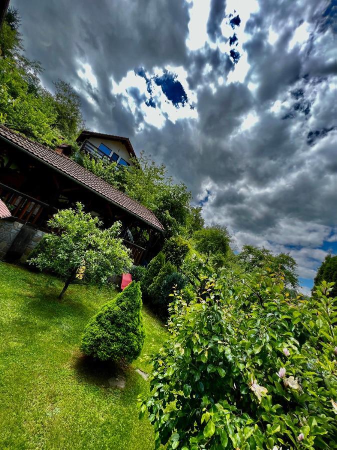 Cabana Vanatorilor Poiana Mărului エクステリア 写真