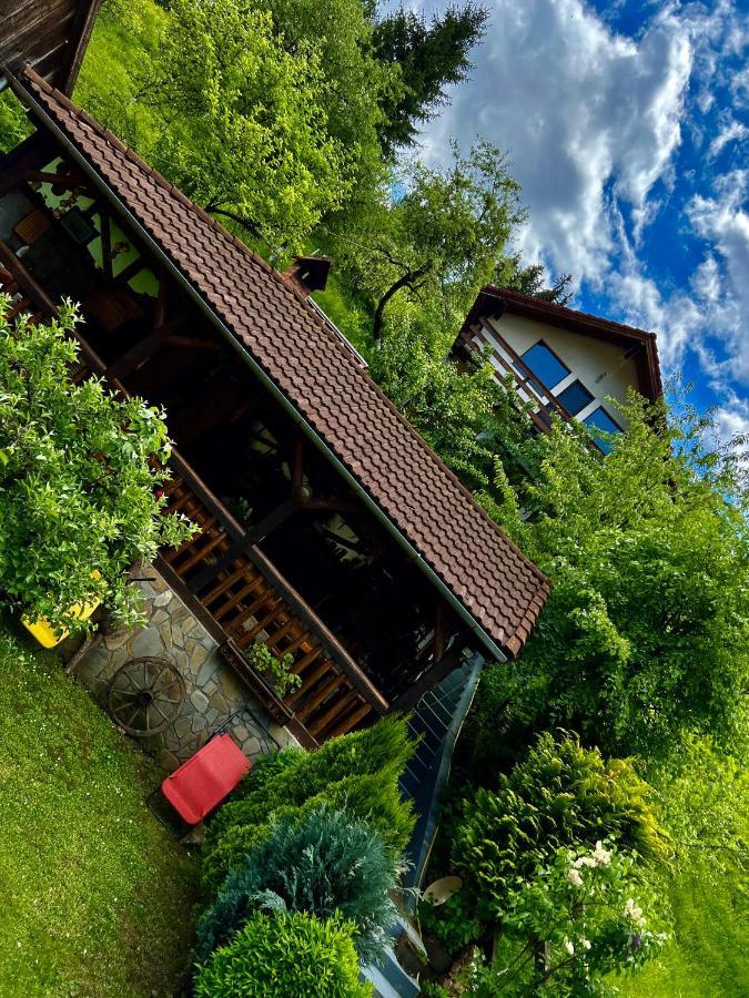 Cabana Vanatorilor Poiana Mărului エクステリア 写真